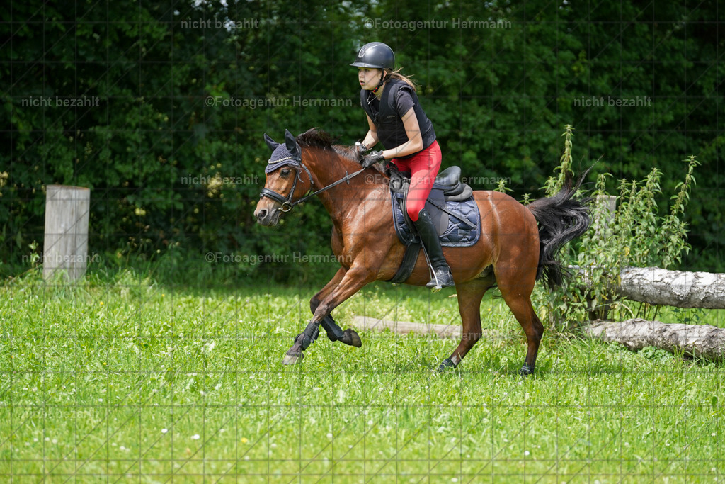 20240622-FAH07500 | Turnierfotografen Bayern, Reitsportbilder aus dem Geländekurs mit Felix Etzel auf dem Gut Waitzacker 2024