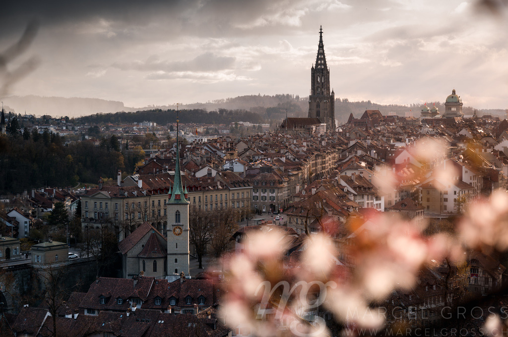 Berner Münster during cherry blossom with dramatic clouds over the oldtown of Bern in spring | Die ideale Geschenkidee für Naturliebhaber. Naturbilder von Marcel Gross Photography für ihr Zuhause in den verschiedensten Formaten und Materialien. - Realisiert mit Pictrs.com