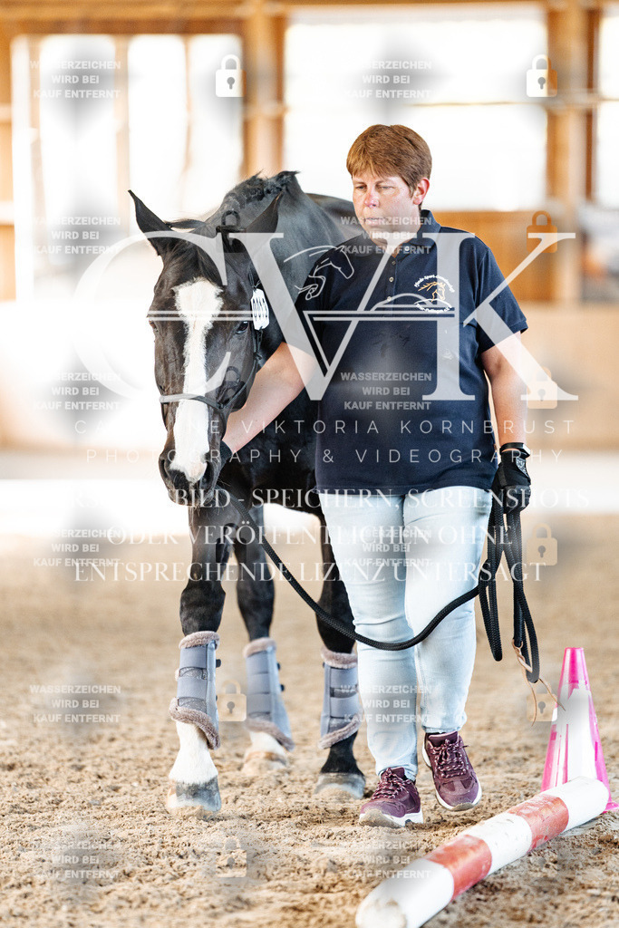 CK906269 | Turnierfotografie Pferdefotografie Trier Rheinland-Pfalz Pferdesport Reitsport Tierfotografie Sportfotografie Pferdevideo Pferdevideografie Equestrianvideography equestrianphotography  - Realisiert mit Pictrs.com