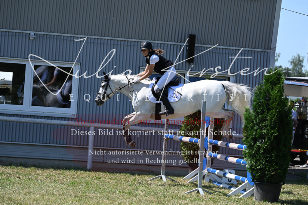 DSC_0854 | Pferde- und Turnierfotografie in Westsachsen. Pferdeportraits, Auftragszeichnungen und intuitive Kunst.