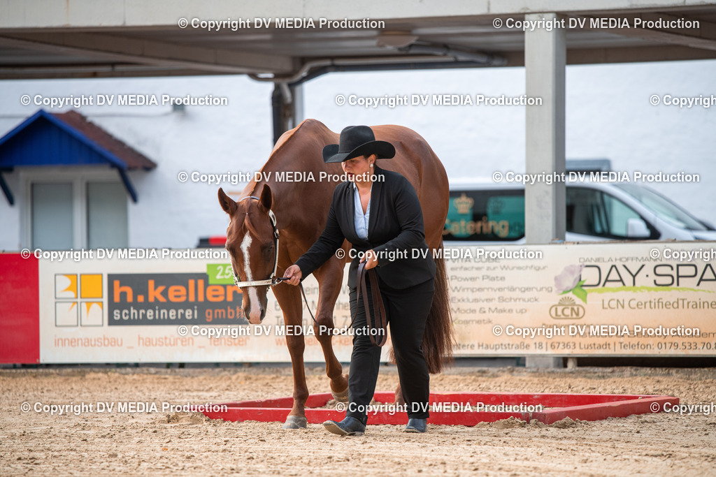 EWP_5519 | dv-media-shop - Realisiert mit Pictrs.com