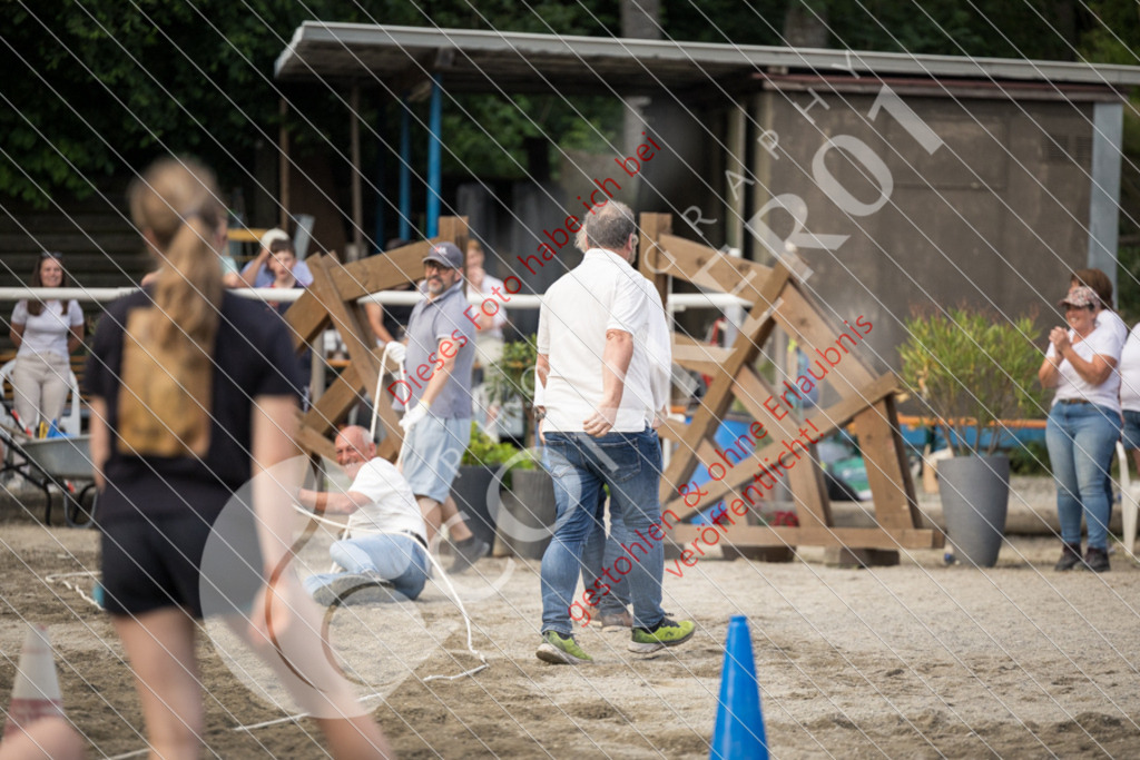 IMG_8478 | Sport-, Event- und Tierfotos in Profiqualität. Einfach auswählen, bestellen und herunterladen. Dein Moment – perfekt festgehalten.