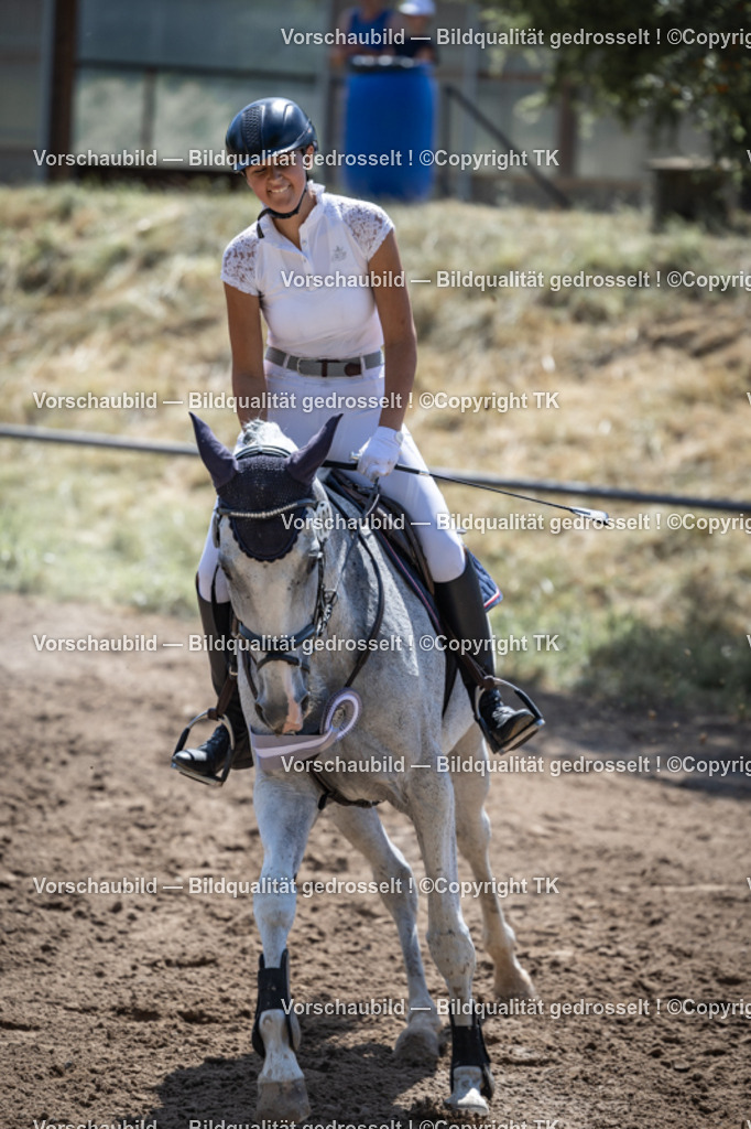 _D5A7340 | Emotionale Pferde- & People-Fotografie rund um Heidelberg, Leimen & Umgebung. Natürliche Fotos von Pferd, Mensch & Familie. Jetzt Termin sichern!