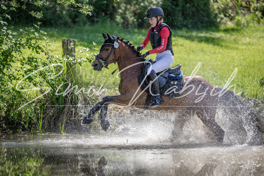 20260523-_3LI7563 | Tierfotografie Pferde, Hunde, Katzen, Haustiere.
Turnierfotografie Reitturniere, Reiten, Springreiten, Dressur in Hanau, dem Main-Kinzig-Kreis und dem Rhein-Main- Gebiet um Frankfurt