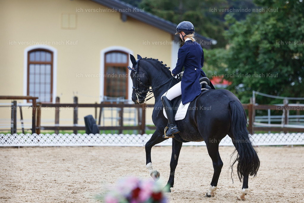 8_2-033-DRESSUR S_  -Marixx-4588 | working equitationturnier fotograf videograf stoibphotography marixx film working equitation deutschland reitsport turnierfotografie eventfotografie equestrian events