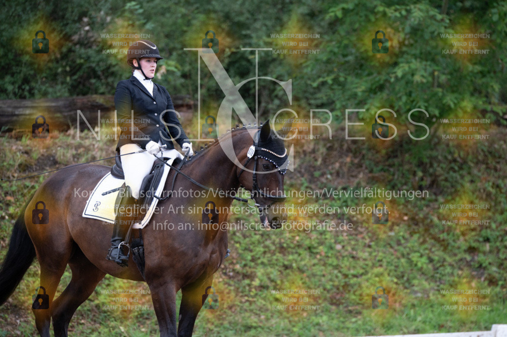 DSC_3767 | Nils Cress - Fotografie - Realisiert mit Pictrs.com