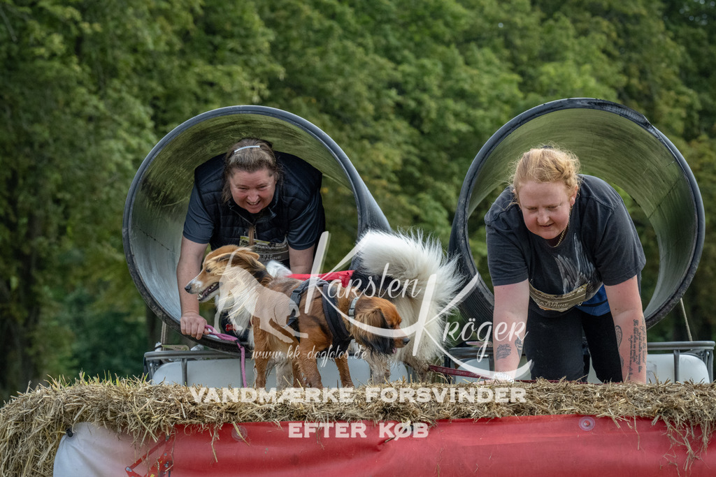 1043_ZZ93050 | kk-dogfotos