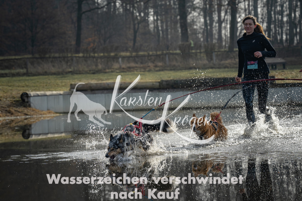 0931_ZZ92051 | kk-dogfotos