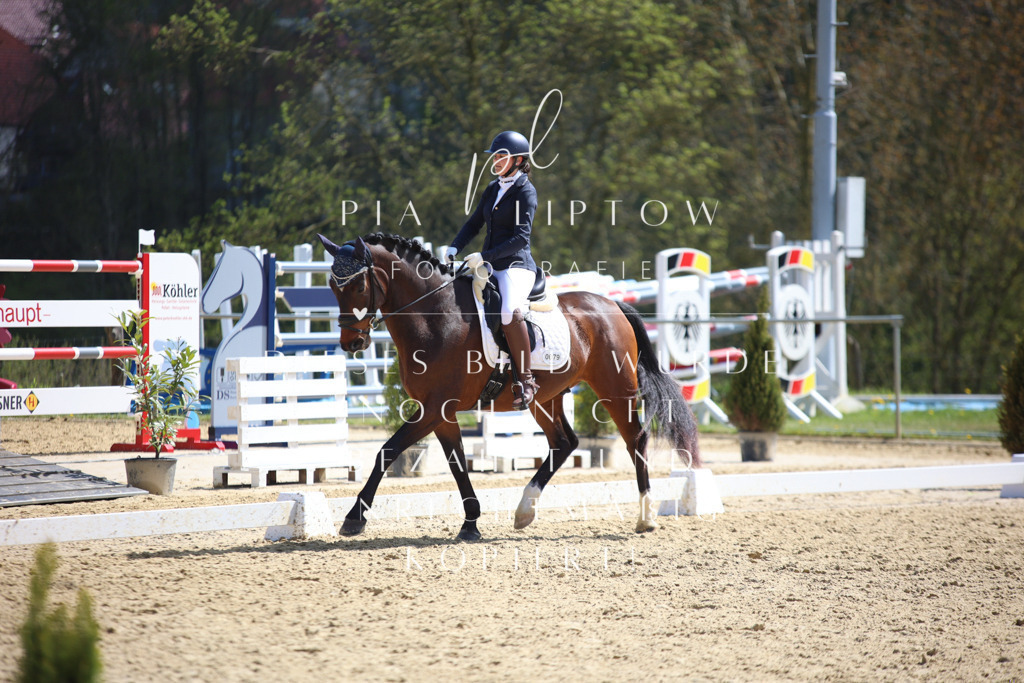 IMGT1817 | pl-fotografie