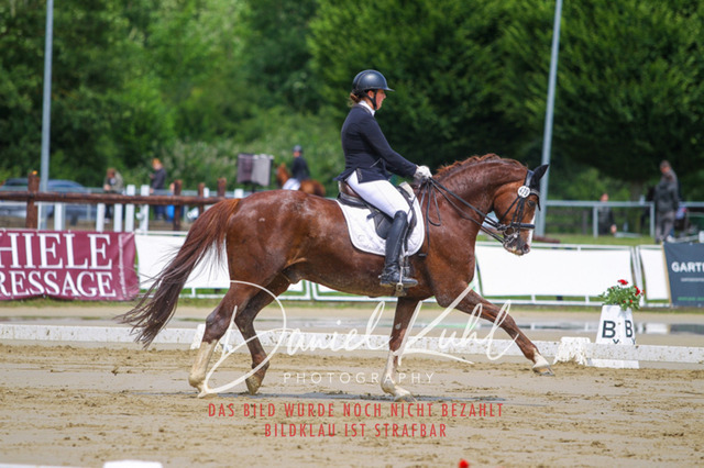 DKP40750 | Turniersportfotografie; Pferdefotografie; Dressurfotografie