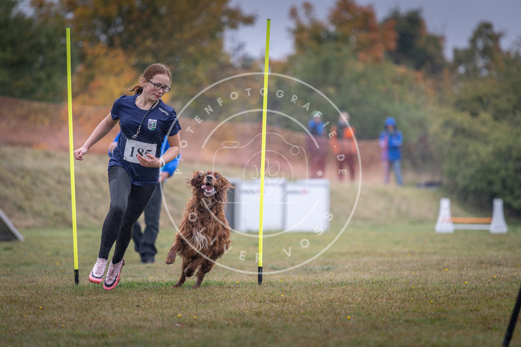 Pfotenfotografie_DV3A0081 | Hundefotografie, Tierfotograf, Pfotenfotografie, Fotoshooting Hund, Hunde Portrait, Hundesport, Hundeportraits, Heideshooting, Hunde, Sportfotograf, Hundefotograf, Turnierhundsport, THS,  - Realisiert mit Pictrs.com