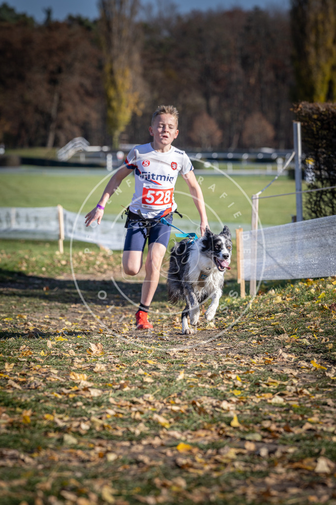 CaniXpix_DV3A8213 | Hundefotografie, Tierfotograf, Pfotenfotografie, Fotoshooting Hund, Hunde Portrait, Hundesport, Hundeportraits, Heideshooting, Hunde, Sportfotograf, Hundefotograf, Turnierhundsport, THS,  - Realisiert mit Pictrs.com