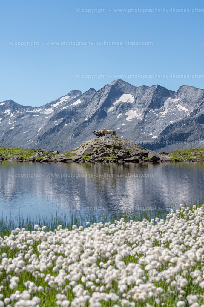 Karsee Zillergrund copyright  Thomas Pfister-19 | PHOTOGRAPHY BY THOMAS PFISTER