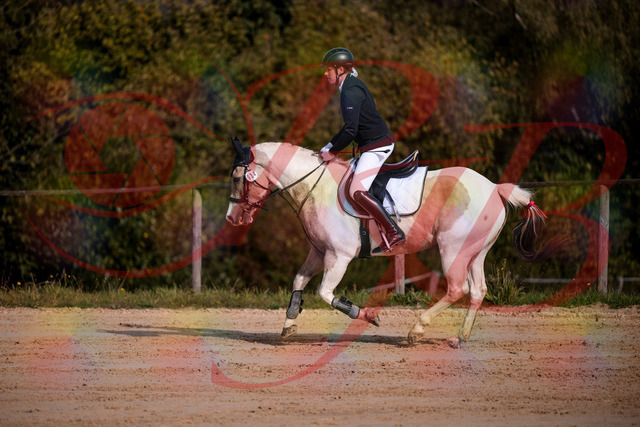 2026_10_03_Siefer-Hof_144251_Z81_16093686 | Professionelle Reitsport-, Turnier- und Eventfotografie von Robert Broda. Galerien mit ausgewählten und bearbeiteten Bildern direkt online ansehen und bestellen.