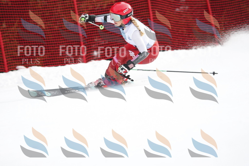 D5052 | holidayphoto