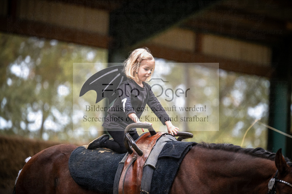 DOS_0145 | Entdecke hochwertige Reitturnierfotos von Foto Oger. Professionell, emotional und authentisch – jetzt Lieblingsmomente im Shop bestellen.Deutschlandweite Turnierfotografie. - Realisiert mit Pictrs.com
