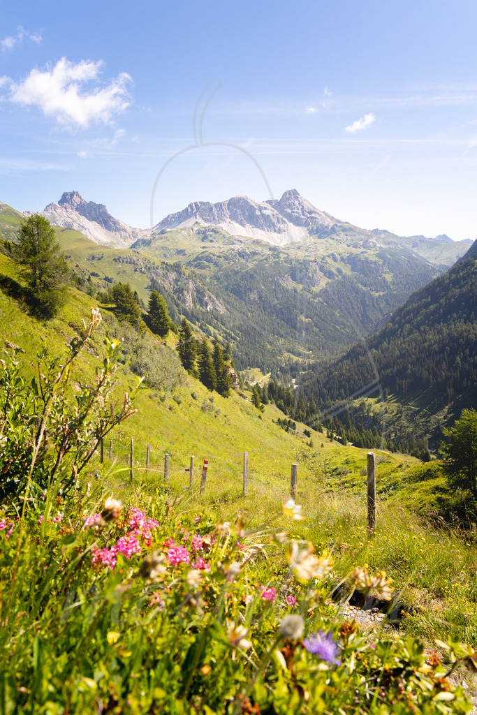 Mosermandl | Ihre Fotografin im Lungau, ihre Fotografin im Mostviertel, Wandbilder Onlineshop, Imagefotos für Ihr Unternehmen,  - Realisiert mit Pictrs.com