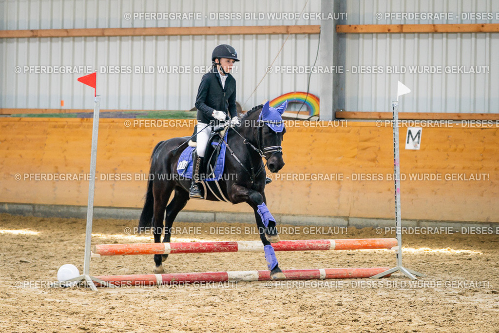 DSC02166 | Pferdegrafie