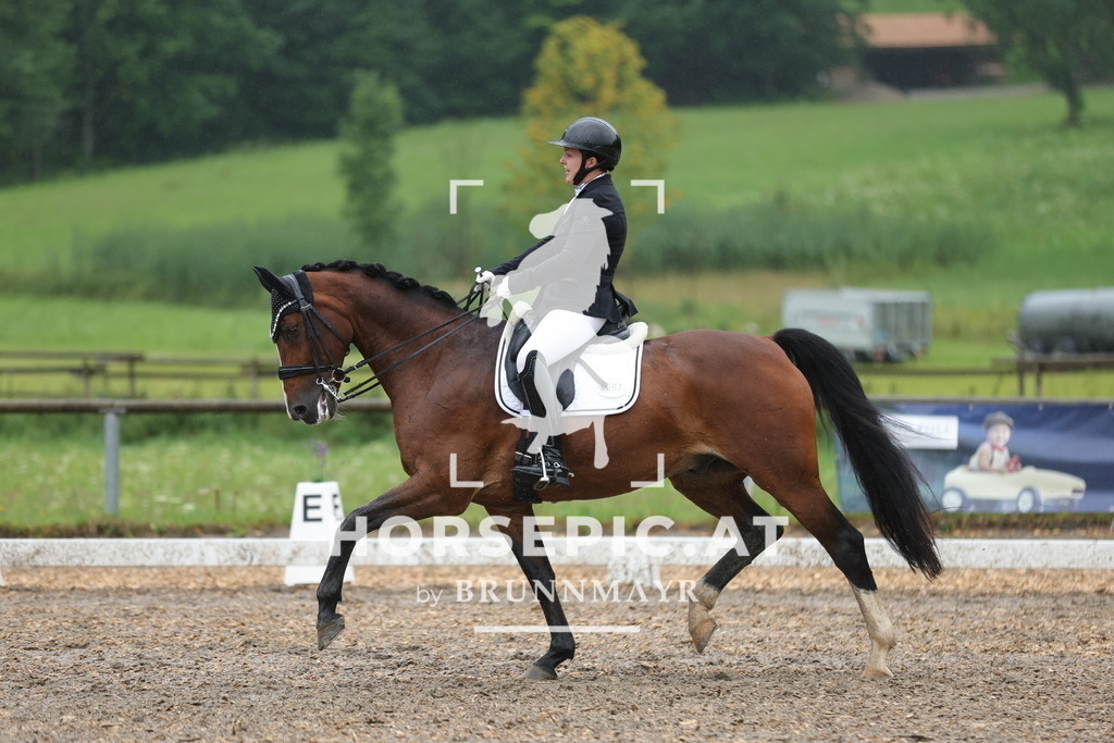 0P6A9159 | Willkommen bei Brunnmayr - Design & Fotografie – Ihrem Spezialisten für Reitturniere und Pferdeveranstaltungen in Oberösterreich, Salzburg und Bayern! Seit über 17 Jahren sind wir leidenschaftlich dabei.