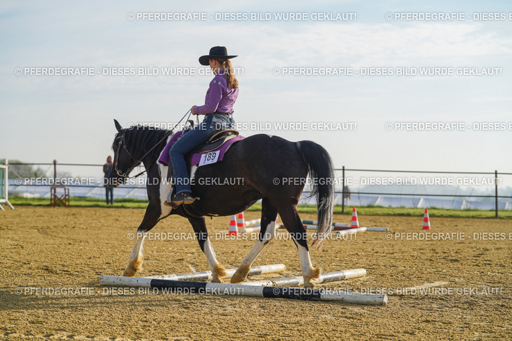 DSC00254 | Pferdegrafie