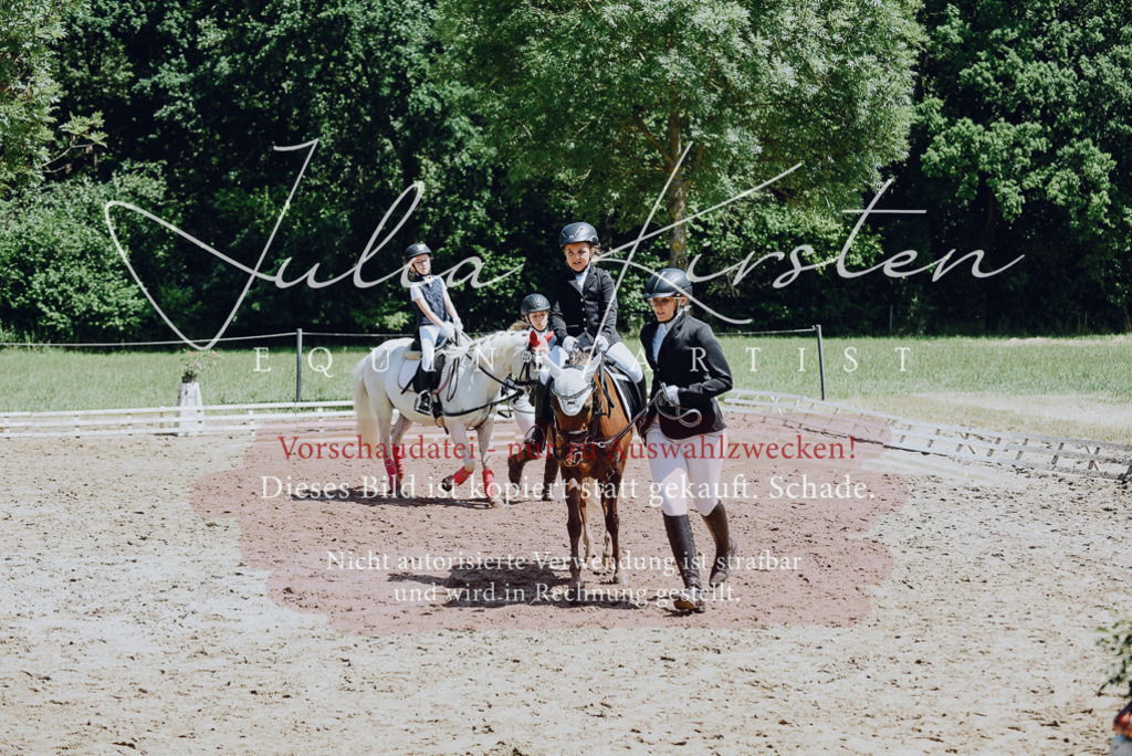 DSC_2613 | Pferde- und Turnierfotografie in Westsachsen. Pferdeportraits, Auftragszeichnungen und intuitive Kunst.