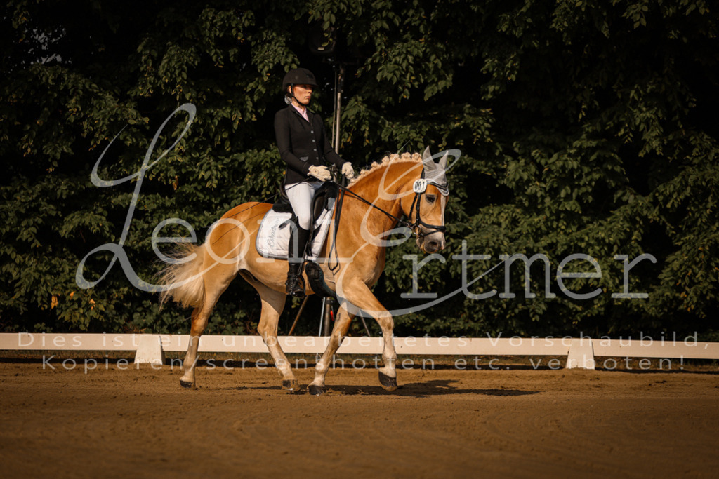 14.SaDrA00021 | Leoni Ertmer Photography - Realisiert mit Pictrs.com