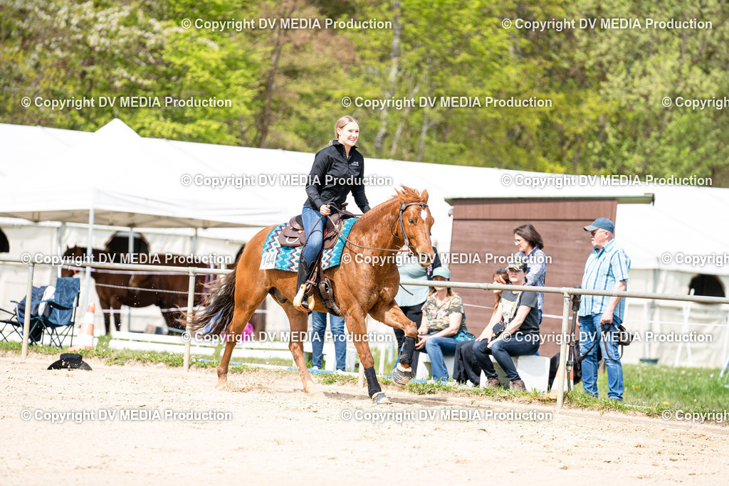 Heiligenwald Tag 2-611 | dv-media-shop - Realisiert mit Pictrs.com