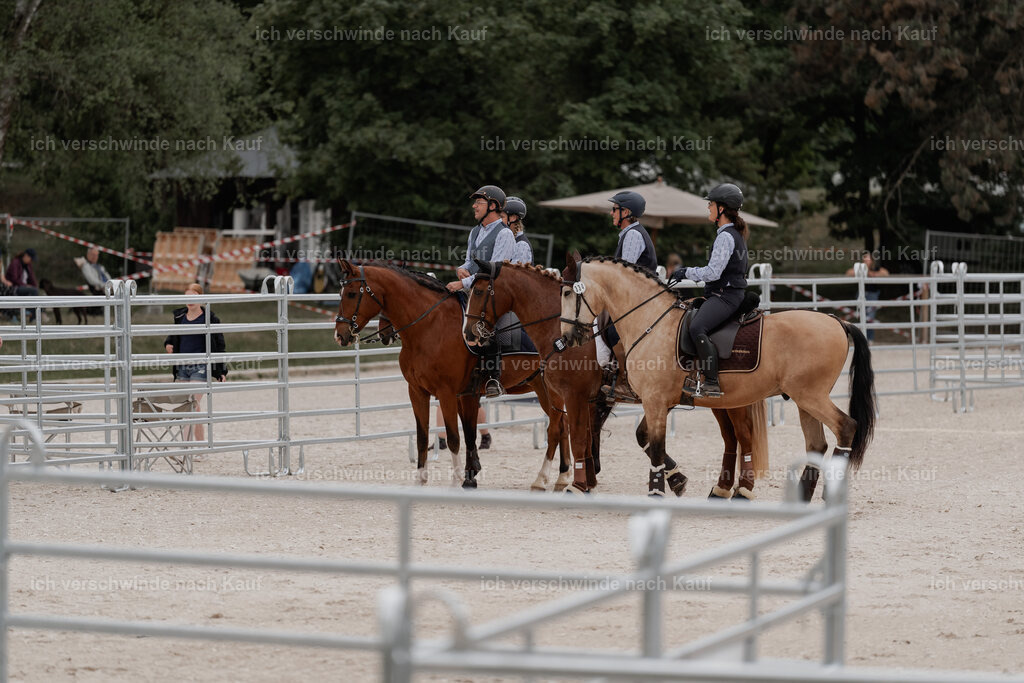 WE__Stoib_Rinder_PI2025_2981 | Pferd International München 2025