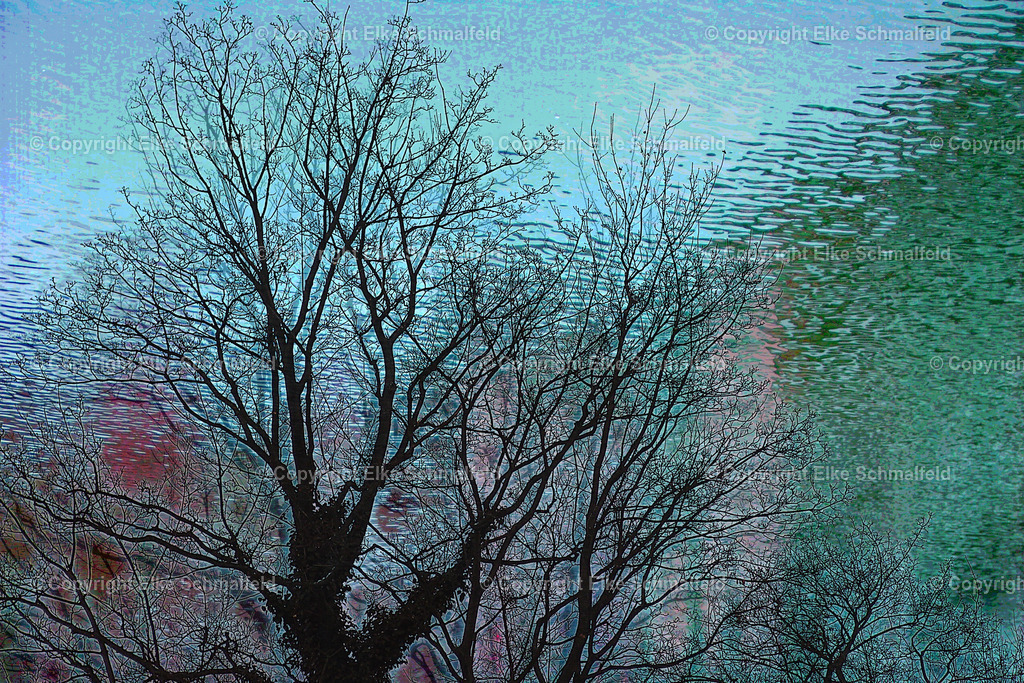 Baum | Elke Schmalfeld - Realisiert mit Pictrs.com