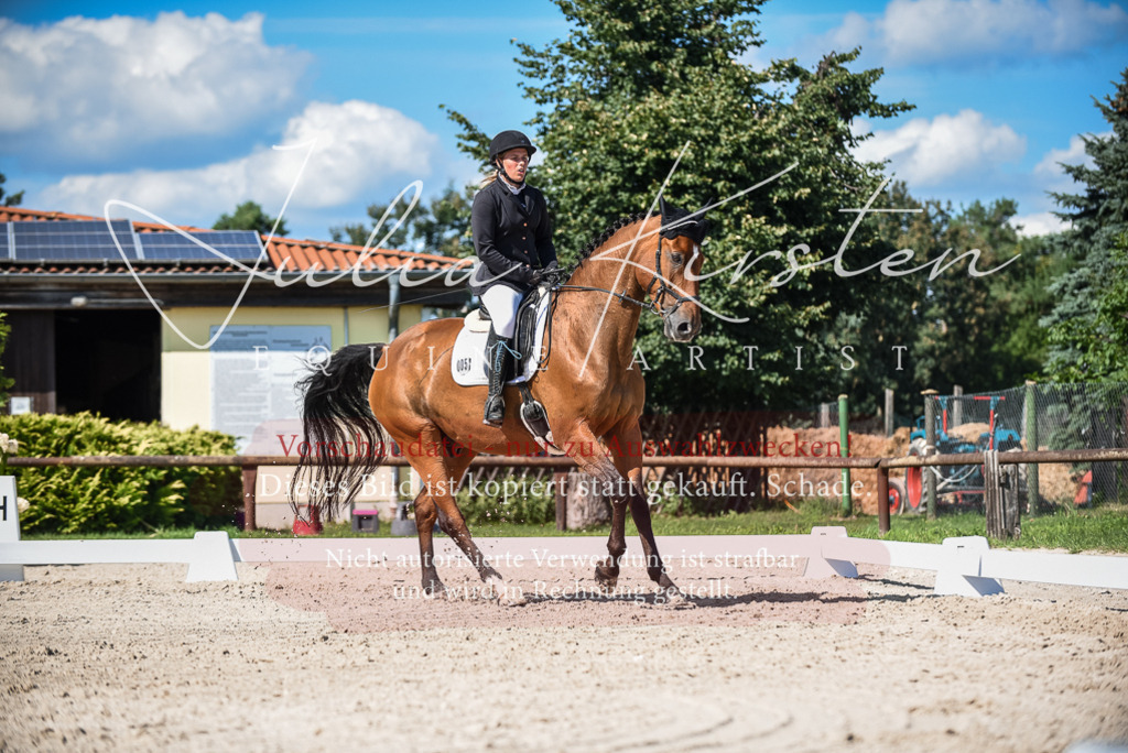 DSC_9681 | Pferde- und Turnierfotografie in Westsachsen. Pferdeportraits, Auftragszeichnungen und intuitive Kunst.