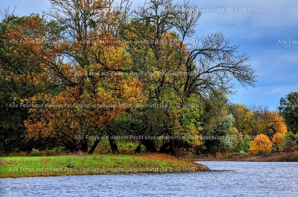 1P5A1538_3 | krollfotografie - Realisiert mit Pictrs.com