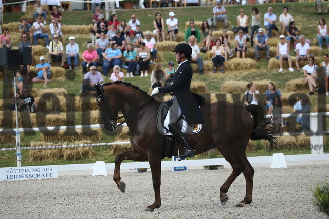 Birkhof_2022_GrandPrixSpecial_Martina Steisslinger_Favory A.S (17) | Alle Fotos der Reiterjournal Fotografin Doris Matthaes im Reiterjournal Online-Fotoshop. - Realisiert mit Pictrs.com