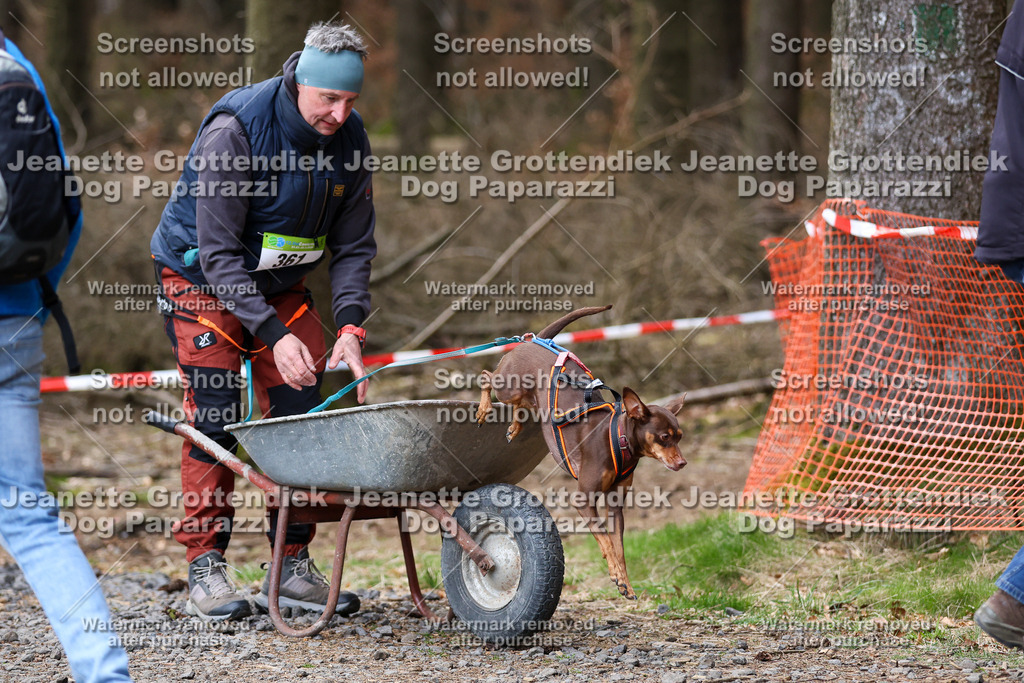 Dog Paparazzi - VCC26-689 | Dog Paparazzi Jeanette Grottendiek Fotografie & Videografie - Realisiert mit Pictrs.com