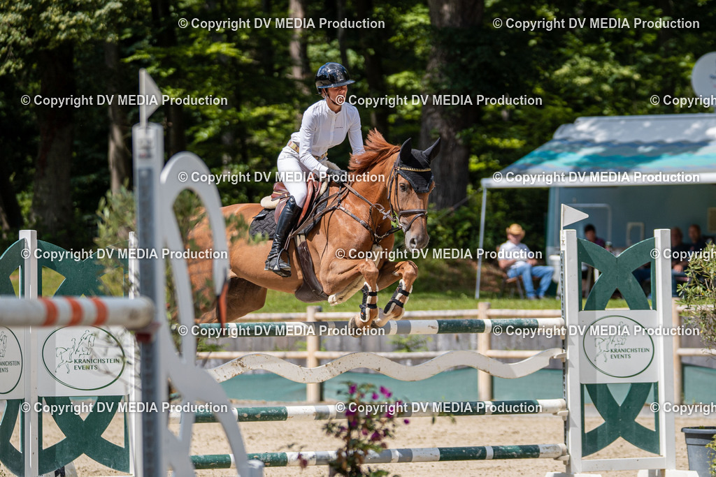 Hessische Tag 1-572 | dv-media-shop - Realisiert mit Pictrs.com