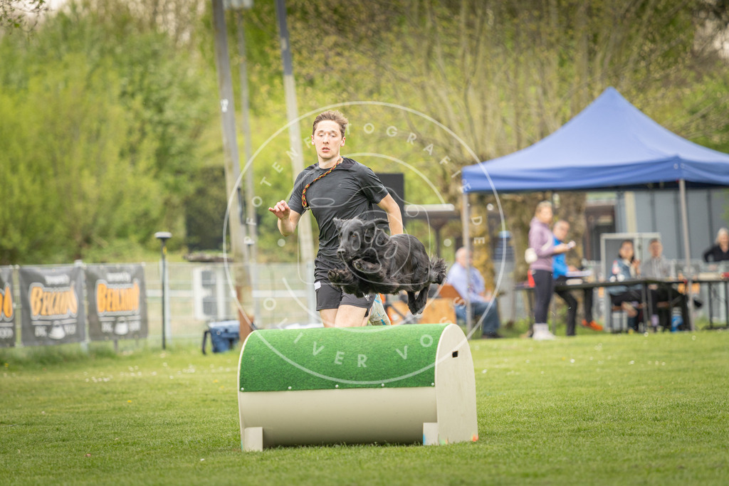 Pfotenfotografie_DV3A1237 | Hundefotografie, Tierfotograf, Pfotenfotografie, Fotoshooting Hund, Hunde Portrait, Hundesport, Hundeportraits, Heideshooting, Hunde, Sportfotograf, Hundefotograf, Turnierhundsport, THS,  - Realisiert mit Pictrs.com