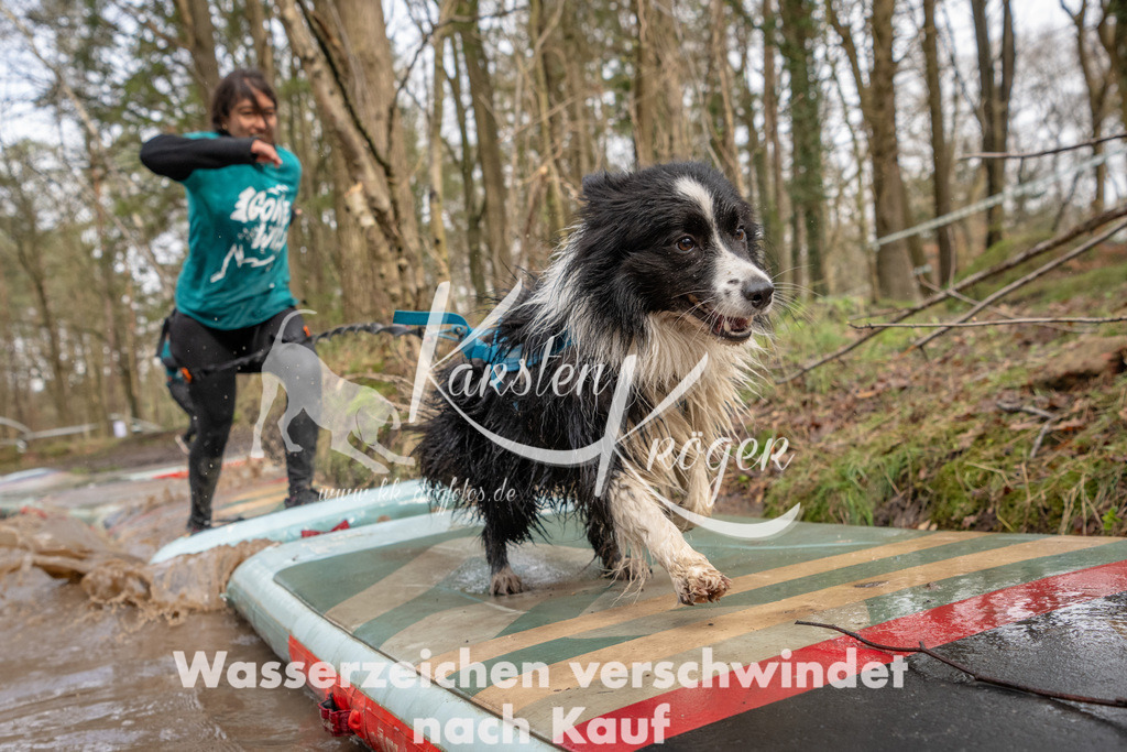 1025_ZZ93522 | kk-dogfotos