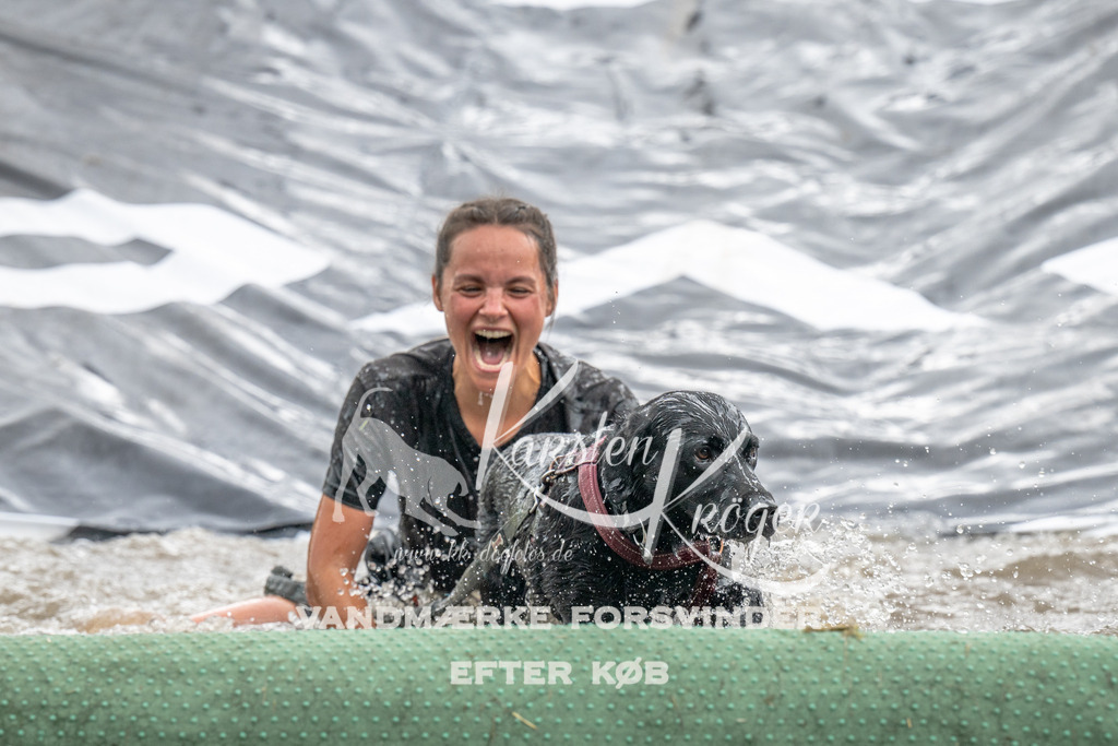 1415_ZZ94856 | kk-dogfotos