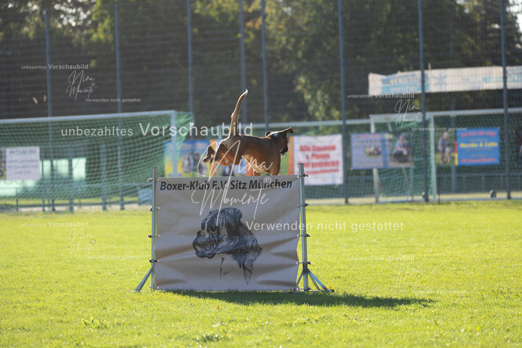 _16A4845 | Einzigartige Fotos von Hunden & Menschen –Actionfotos, Portraits, Vereinsaufnahmen & Paarshootings – authentisch, lebendig & mit Herz.