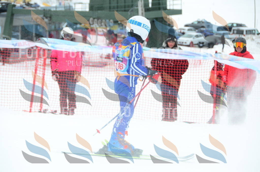 DSC_1732 | holidayphoto