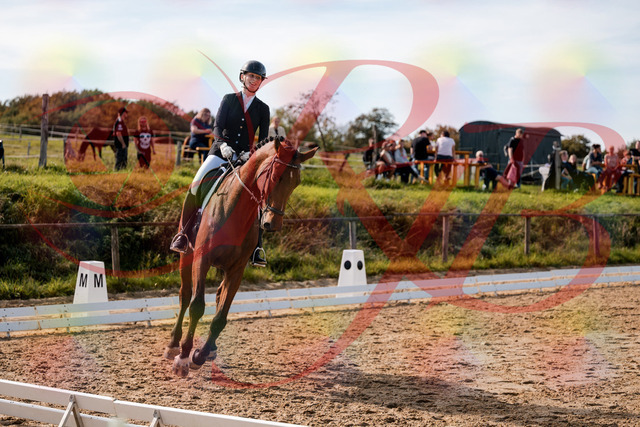 2026_10_03_Siefer-Hof_131054_Z63_74499705 | Professionelle Reitsport-, Turnier- und Eventfotografie von Robert Broda. Galerien mit ausgewählten und bearbeiteten Bildern direkt online ansehen und bestellen.