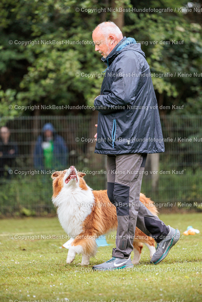 RO-Blumenthal-2026-Nickbest-Hundefotografie-0710 | Dein Hund! Dein Moment! Deine Erinnerungen! Hundefotografie in Bremen Blumenthal. Ich fange die besonderen Momente deines Vierbeiners ein – ob Indoor mit Blitzanlage oder in der freien Natur. Sicher dir dein Moment und dein Termin für eure Erinnerungen.