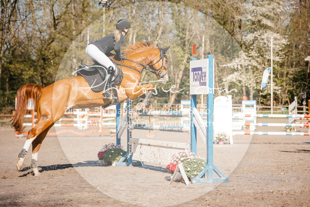3I6A3629 | Stimmungsvolle Portraits und Reitsportfotografie im Ruhrgebiet und im Münsterland.

Pferdefotografie, Hundefotografie, Tierfotografie, Reportagen, Portraits von Tier und Mensch, Turnierfotografie in Bochum, Recklinghausen, Marl, Haltern am See, Dülmen.. - Realisiert mit Pictrs.com