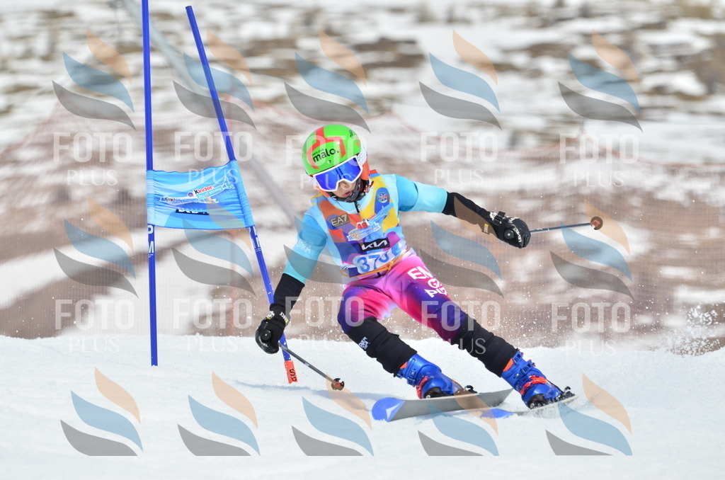 _ELE3012 | holidayphoto