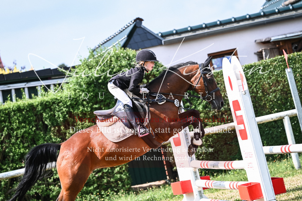 DSC_8529 | Pferde- und Turnierfotografie in Westsachsen. Pferdeportraits, Auftragszeichnungen und intuitive Kunst.
