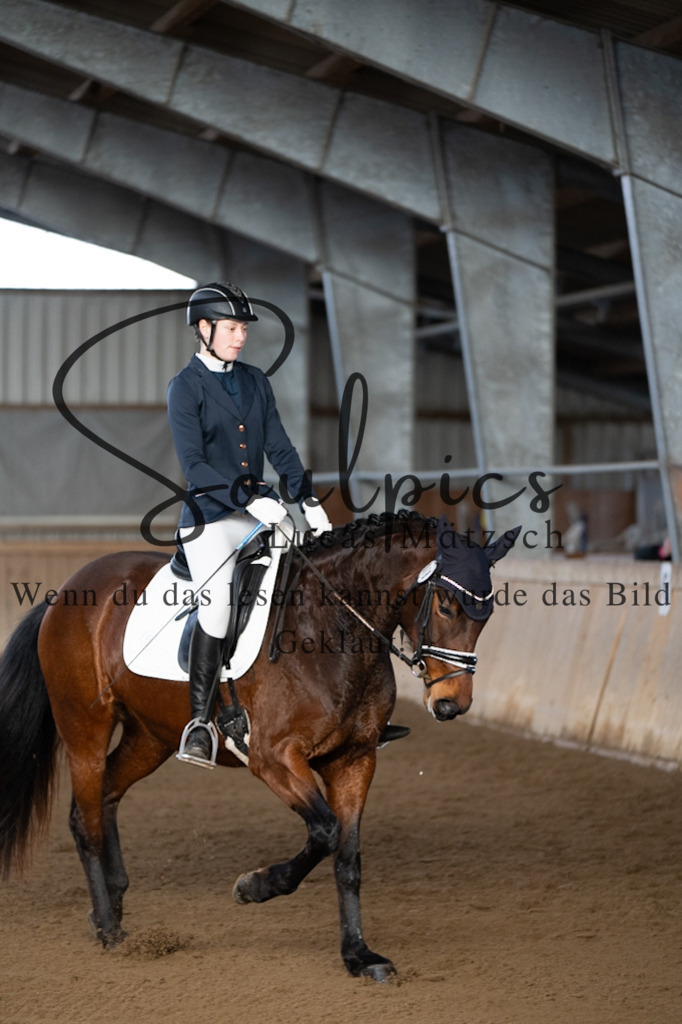 A7V05223 | Pferdefotograf