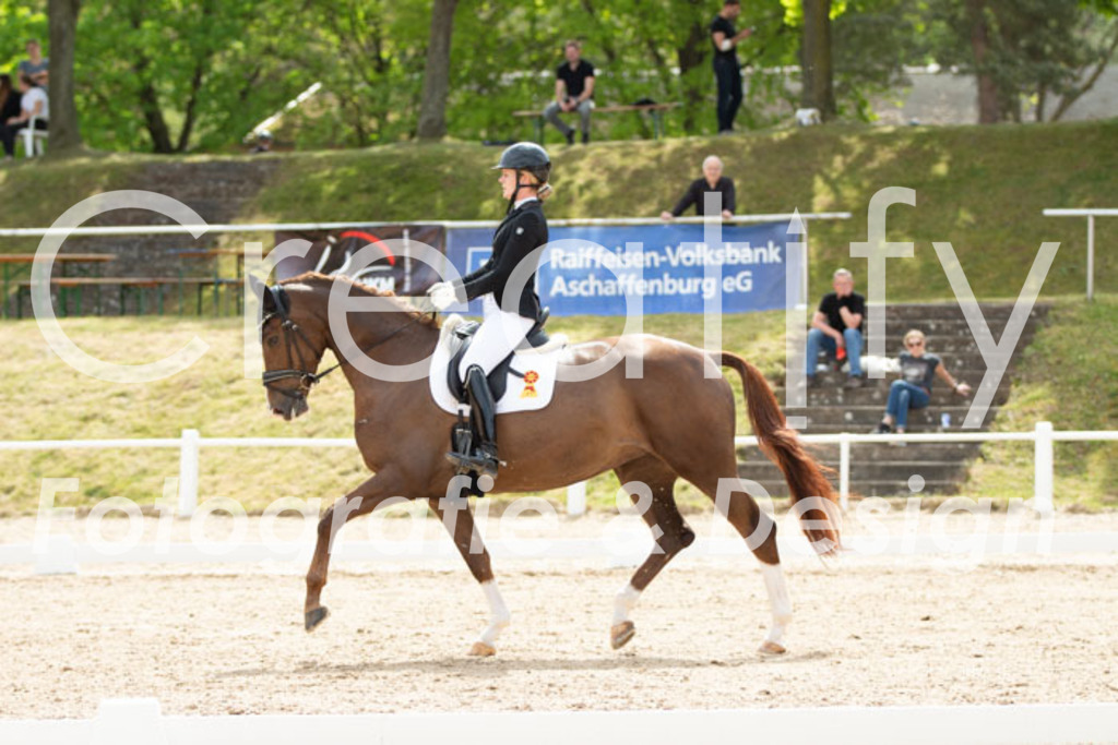 IMG_2262 | Creatify Fotografie