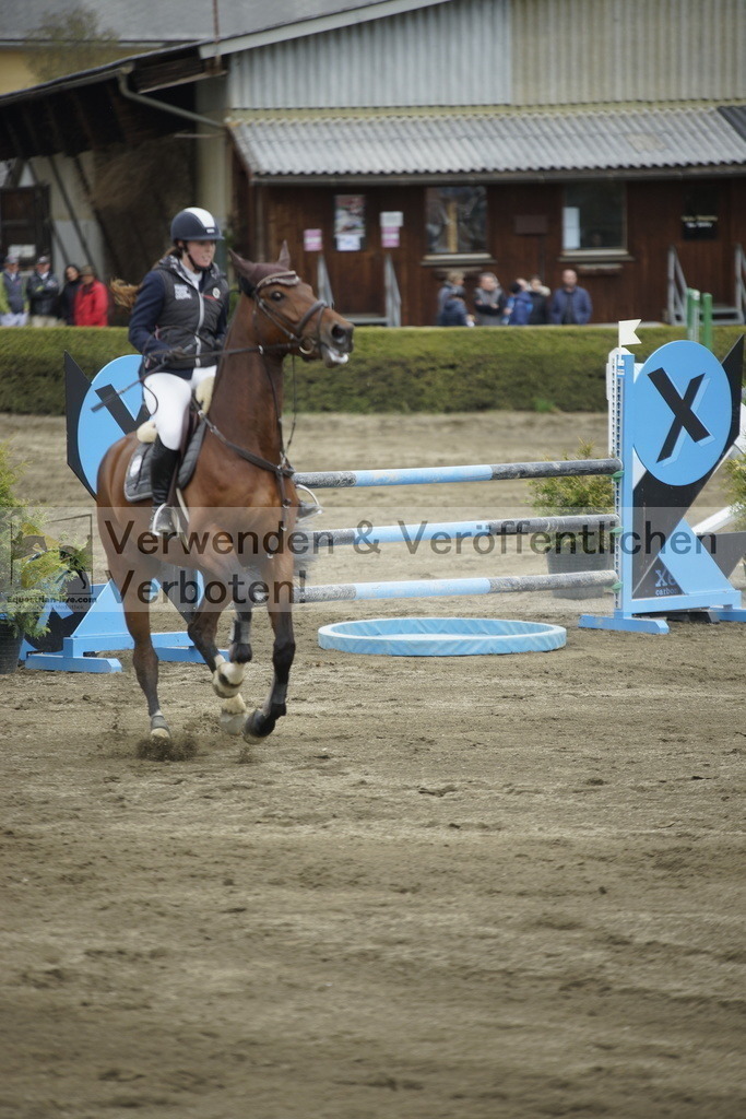 _DSC7400 | equestrian-live-com