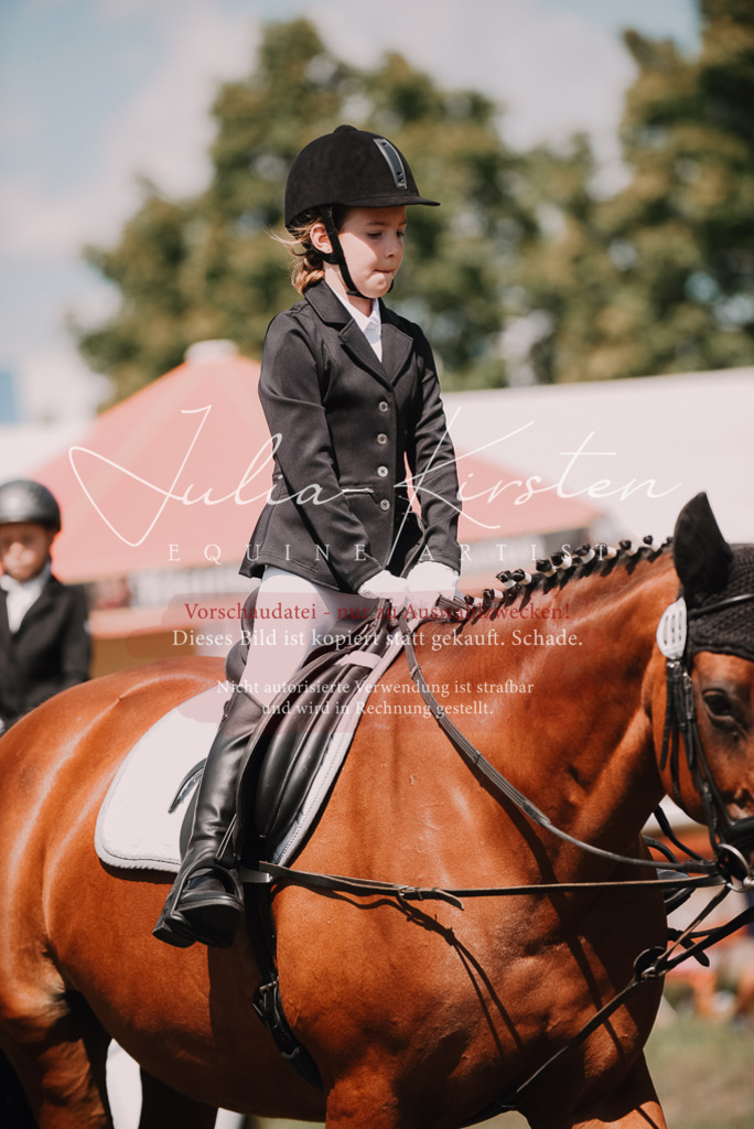 DSC_6109 | Pferde- und Turnierfotografie in Westsachsen. Pferdeportraits, Auftragszeichnungen und intuitive Kunst.