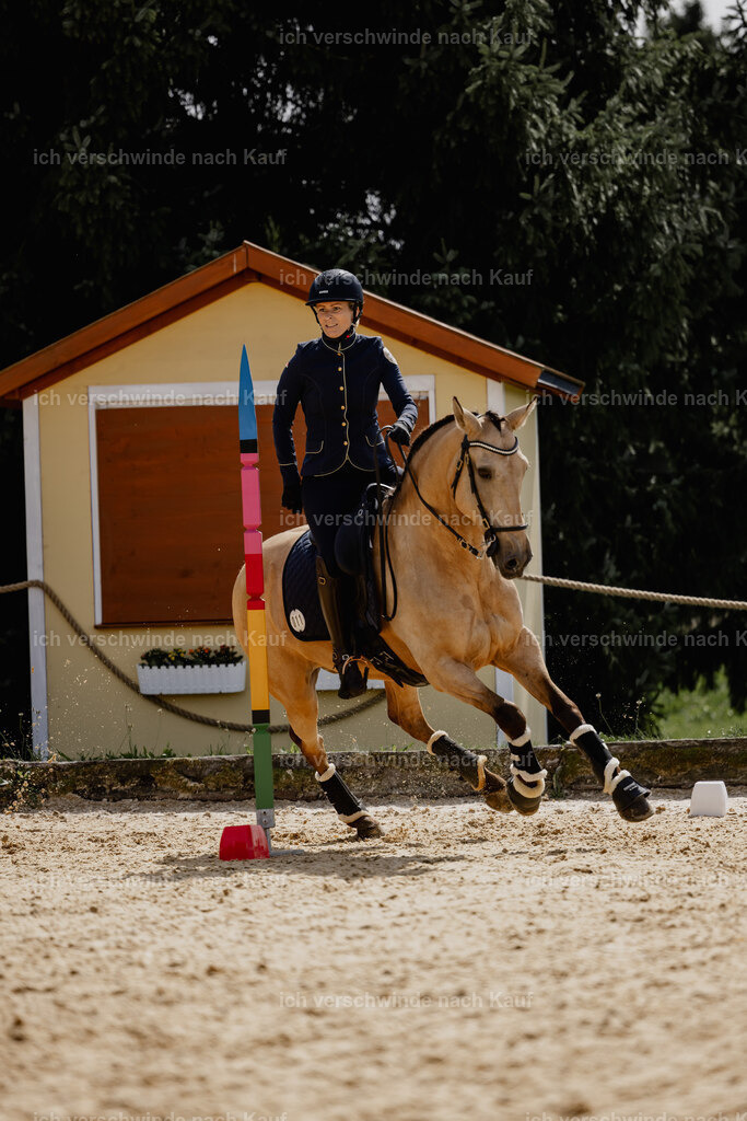 Diana11_FHC2025-20598 | working equitationturnier fotograf videograf stoibphotography marixx film working equitation deutschland reitsport turnierfotografie eventfotografie equestrian events