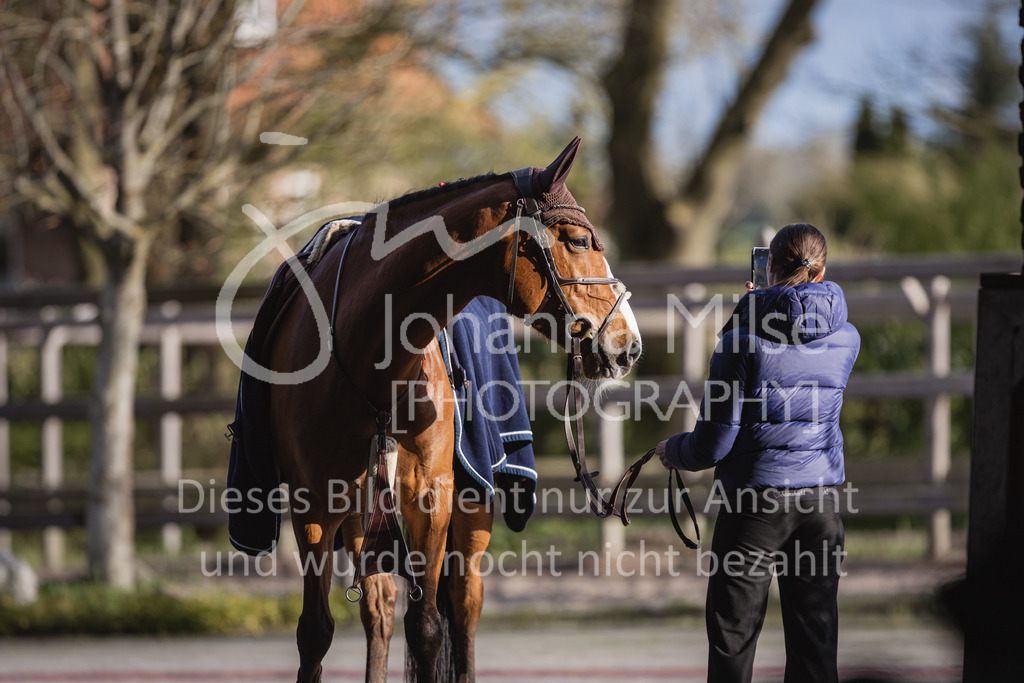 230426_HofSosath_SprPf-L-g-700 | Deine schönsten Turniermomente als professionelle Fotos! Entdecke hochwertige Pferdesport-Fotografie im Online-Shop. Jetzt Fotos finden & bestellen!